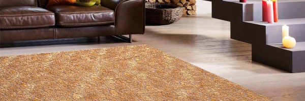 ROMA 250X350 IN Room